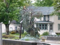 Street light mangled at corner of Allegany Avenue