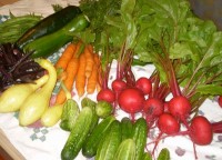 e66be_vegetables1